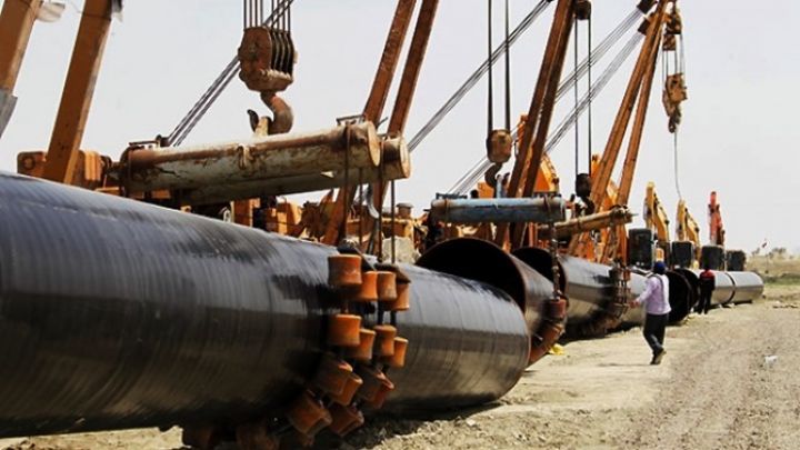 TAP-ın tikintisi 221 zeytun ağacına görə ləngiyə bilər