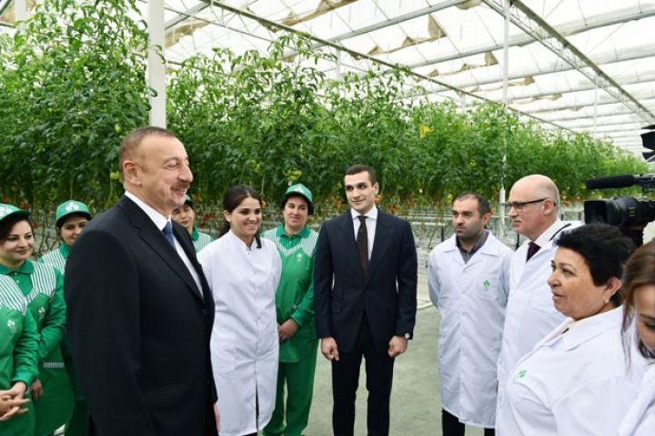 "Biz özümüzü tərəvəzlə təmin etmişik”