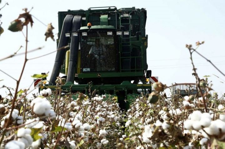 Pambıq tədarükü 85 min tonu ötüb