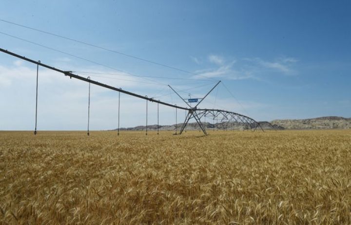 “Region Agro”un rəsmi açılışı baş tutdu - PREZİDENT AÇILIŞDA  