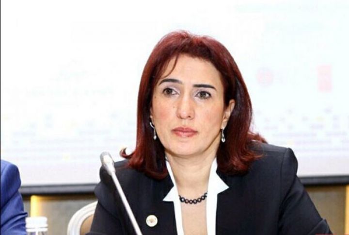 "İnanırıq ki, Palata mikromaliyyə üçün tədbirlərini sürətləndirəcəkdir"