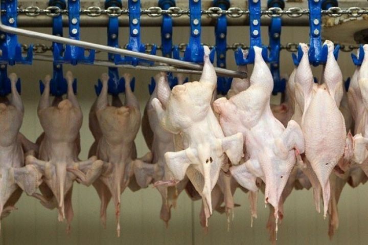 "Yerli quş ətinin maya dəyərinin yüksək olması ixraca mane olur"