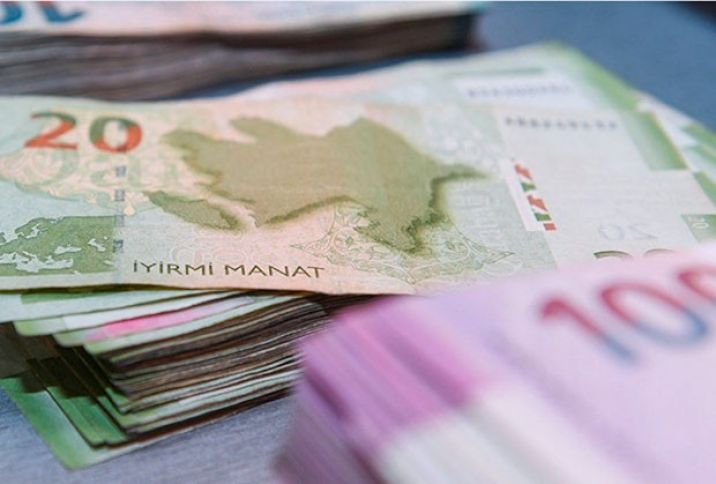 "Dövlət zəmanəti verilmiş kreditlərin məbləği 30 milyon manata çatıb" - MÜSAHİBƏ