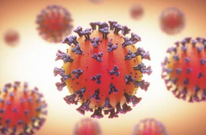 Azərbaycanda koronavirus ilə bağlı son vəziyyət açıqlandı