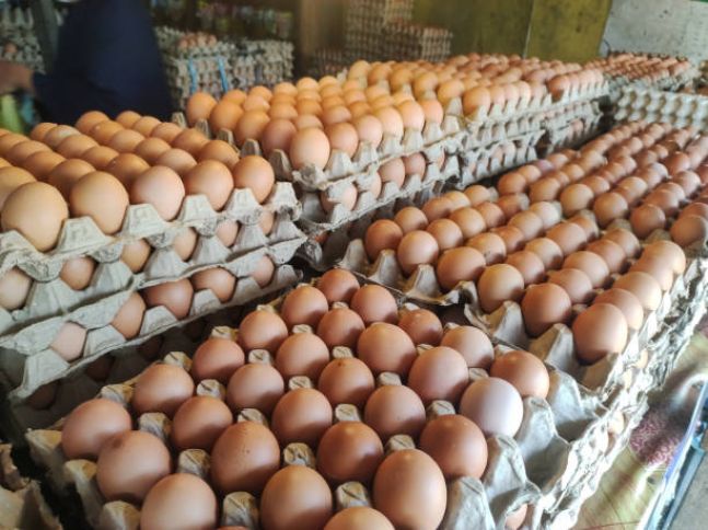 Azərbaycanda yumurta qıtlığı varmı?