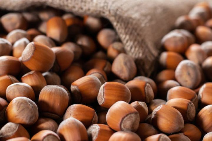 Azərbaycan xaricə daha az fındıq satıb, daha çox qazanıb
