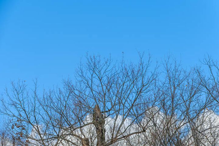 Martın 3-də gözlənilən hava şəraiti
