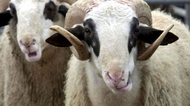 Qurban bayramı namazının vaxtı açıqlanıb