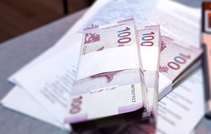 Güzəştli kreditlərin çoxu "irilərə" verilib