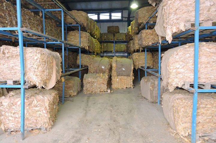 Azərbaycanın tütün şirkətinin nizamnamə kapitalı 2 milyon manat azaldılıb