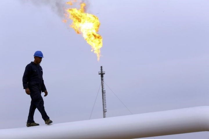 "Qaz hasilatında 19%, ixracında 25% artım gözləyirik"