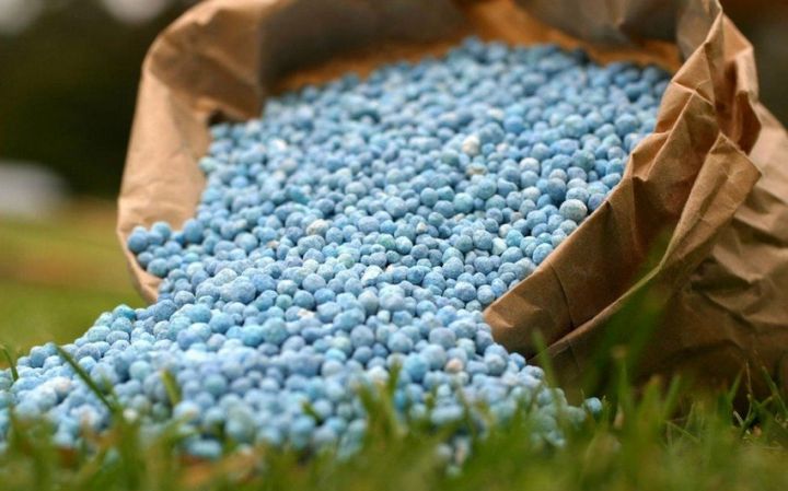 Azərbaycanla Belarus mineral gübrələrin istehsalını planlaşdırır