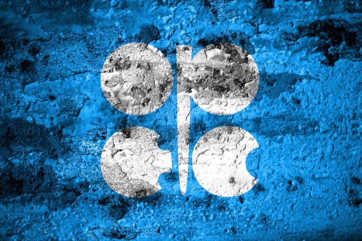 "OPEC+" 2022-ci il üçün qlobal neft tələbatı üzrə proqnozunu artırıb