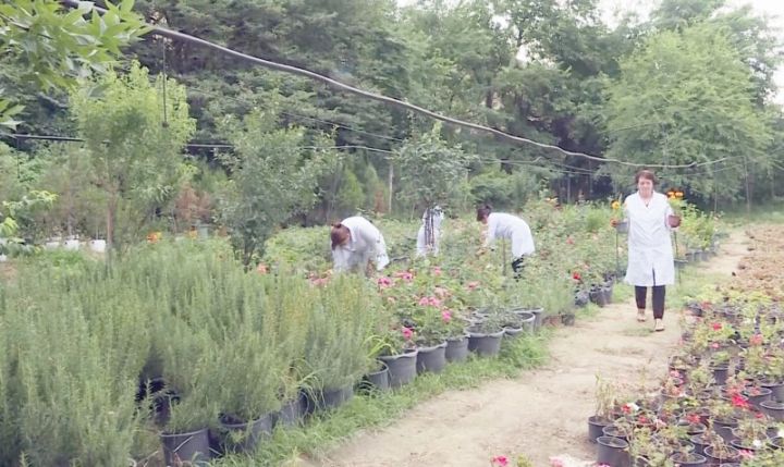 Ölkədə ilk Ekoloji Park Kompleksi Gəncədə yaradılır