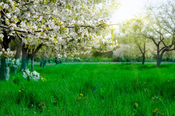 Aprel ayının hava proqnozu açıqlanıb